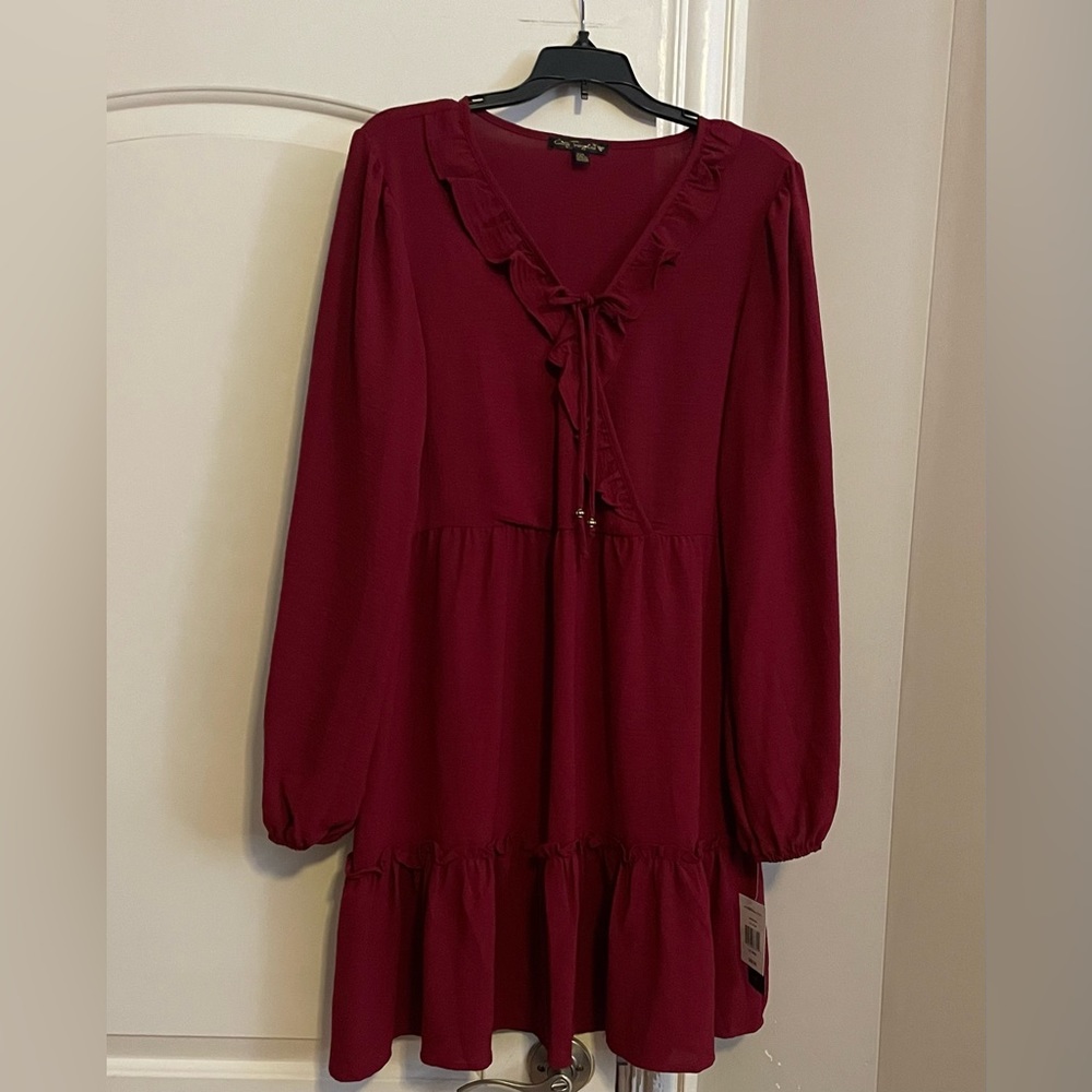 Elegant Burgundy Long Sleeve Dress